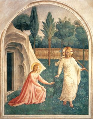 Fra Angelico 310+